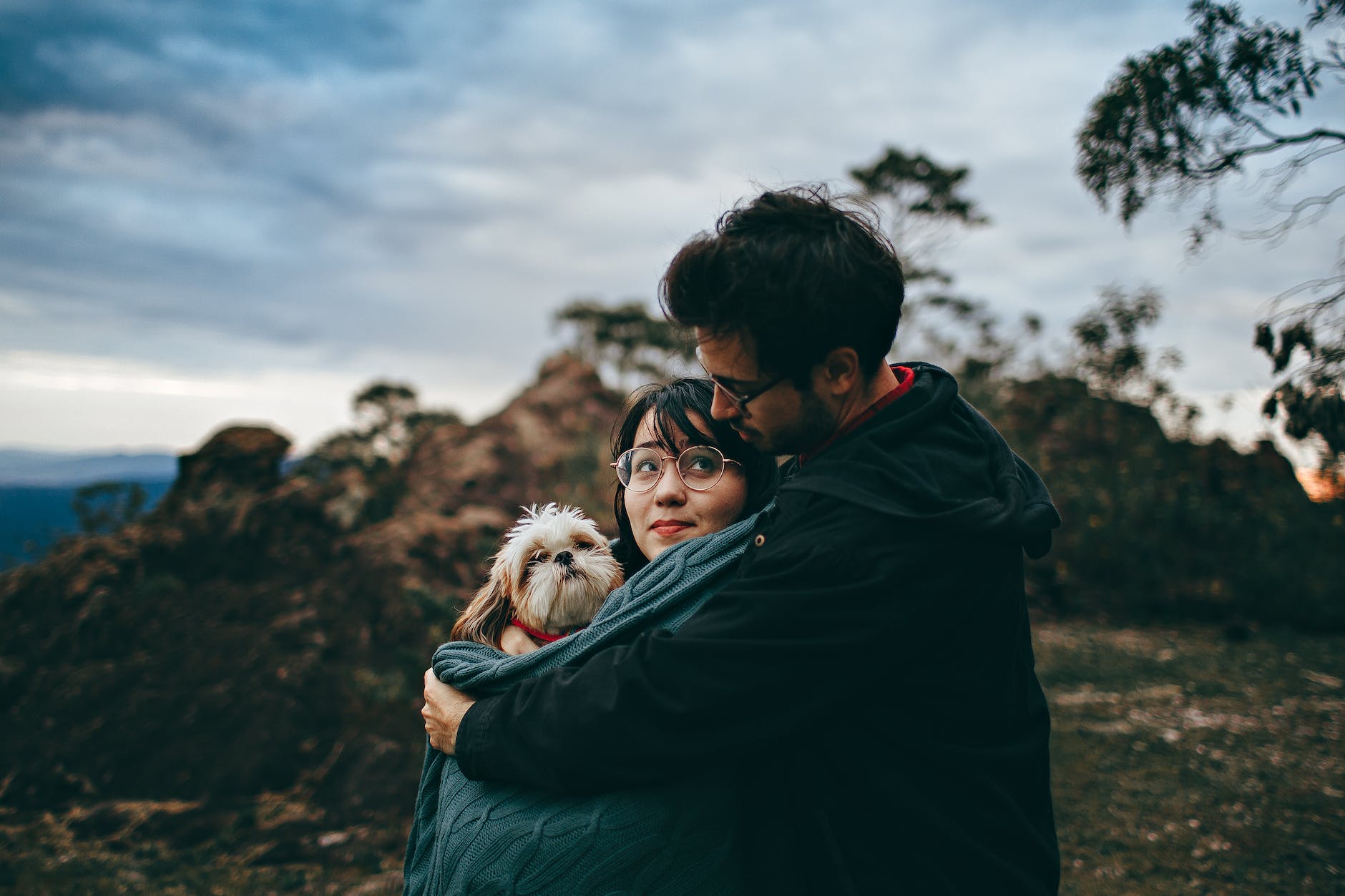 couple hugging adult tan and white shih tzu